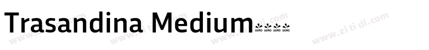 Trasandina Medium字体转换